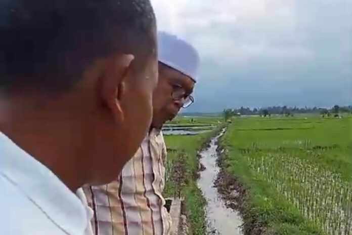 Pengurus DPD Tani Merdeka Indonesia Kabupaten Pidie meninjau irigasi di Kecamatan Mutiara Timur, Kabupaten Pidie.