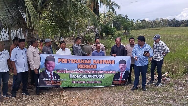 Tersentuh Kisah Petani Nyakna, Wamen Sudaryono Bantu Seekor Kerbau ke Aceh Barat