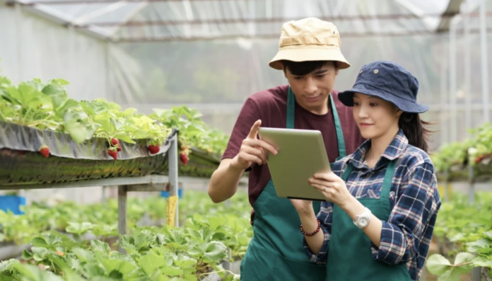 Peluang dan Tantangan Promosi Agribisnis Lewat Media Sosial di Era Digital