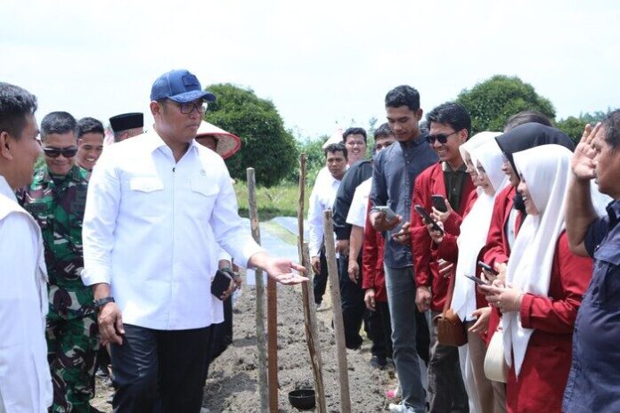 Wamen Sudaryono Wakil Menteri Pertanian, Sudaryono
