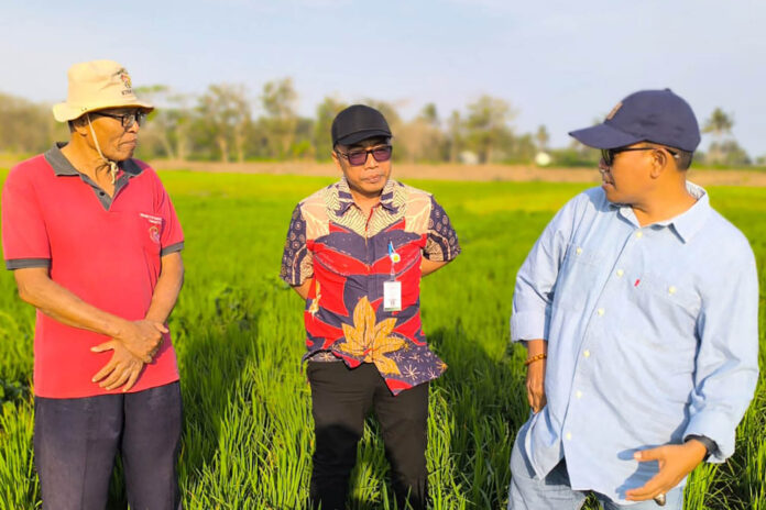 Dian Dian Supardiyanto Ketua Harian DPN Tani Merdeka Indonesia. (Tengah)