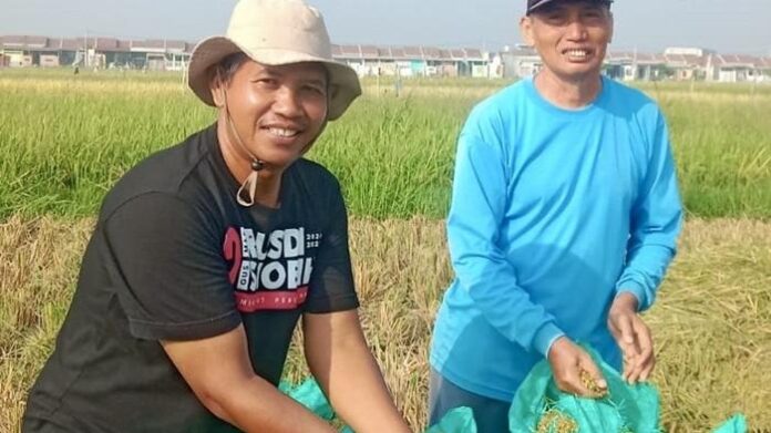 Ketua DPD Tani Merdeka Pasuruan, Winaryo Sujoko