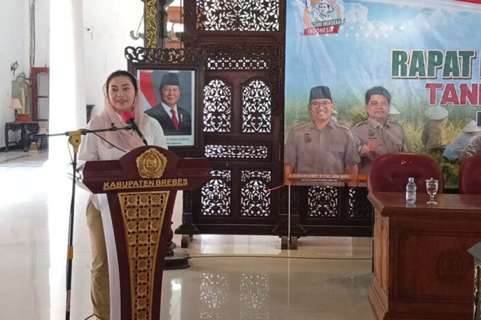 Bupati Brebes Bupati Brebes Paramitha Widya Kusuma