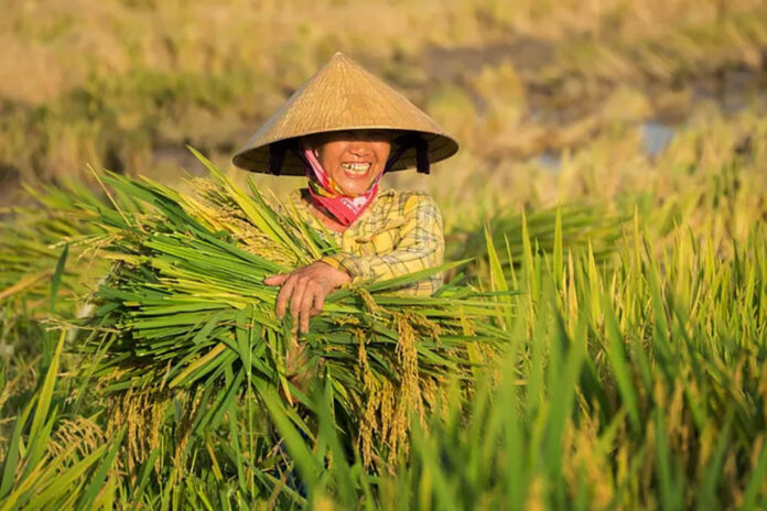 Ilustrasi | Foto: pixabay