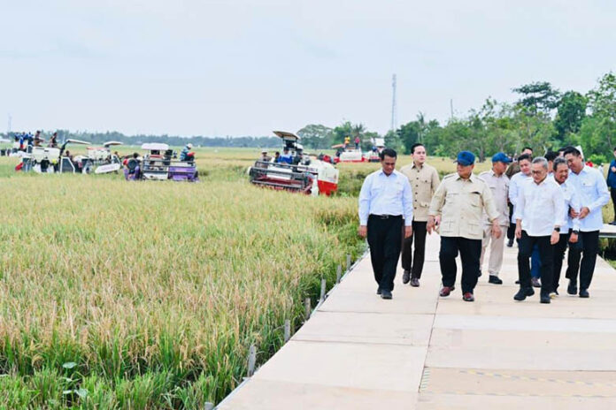 Presiden Prabowo-pangan