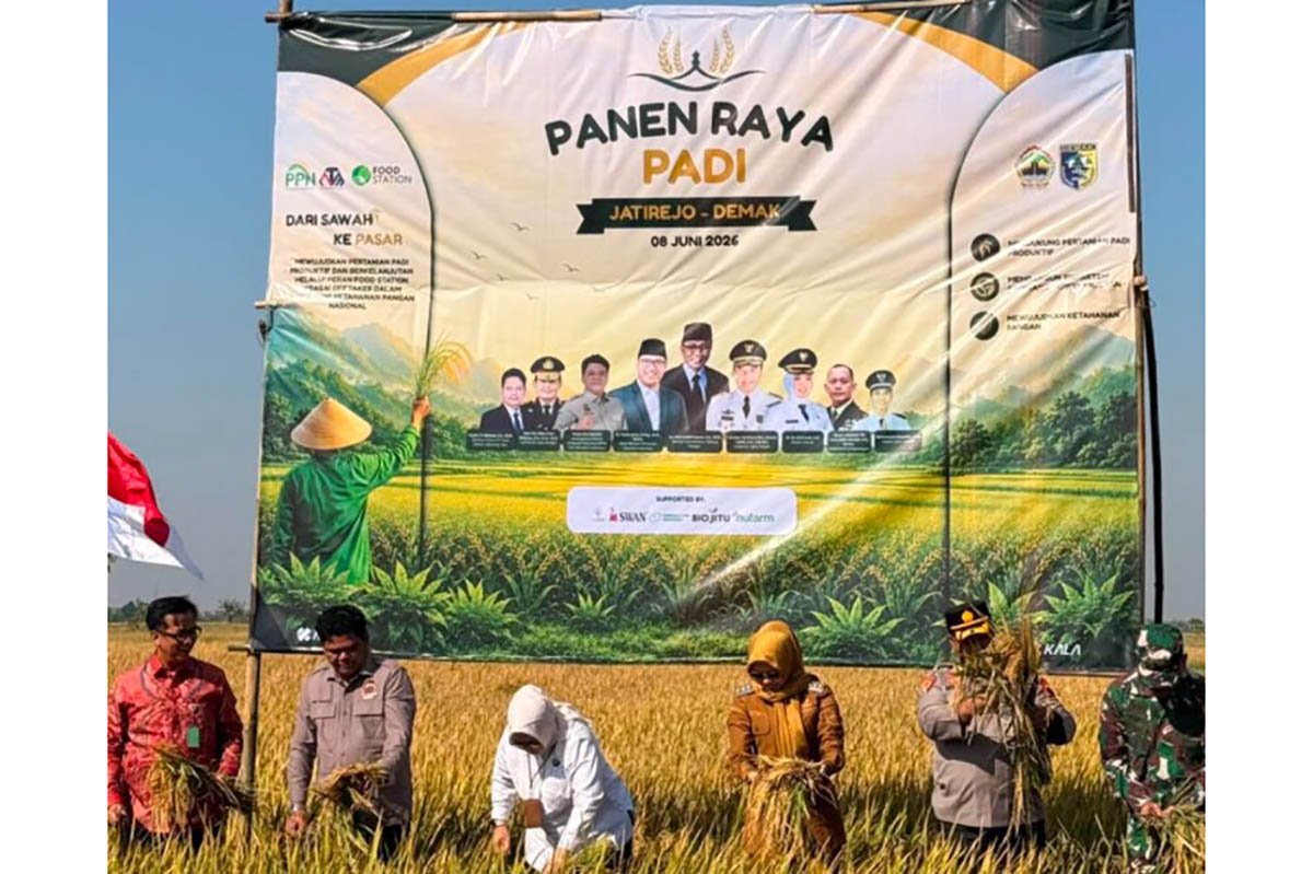 Dokumentasi panen raya bersama Tani Merdeka di Demak