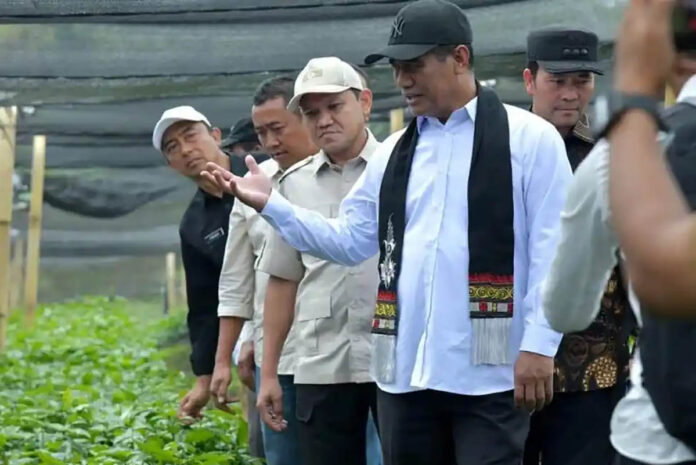 Mentan RI Andi Amran Sulaiman Menteri Pertanian Republik Indonesia, Andi Amran Sulaiman, saat meninjau lokasi produksi benih kopi arabika di Kecamatan Pintu Rime Gayo, Kabupaten Bener Meriah, Selasa (14/7/2026).
