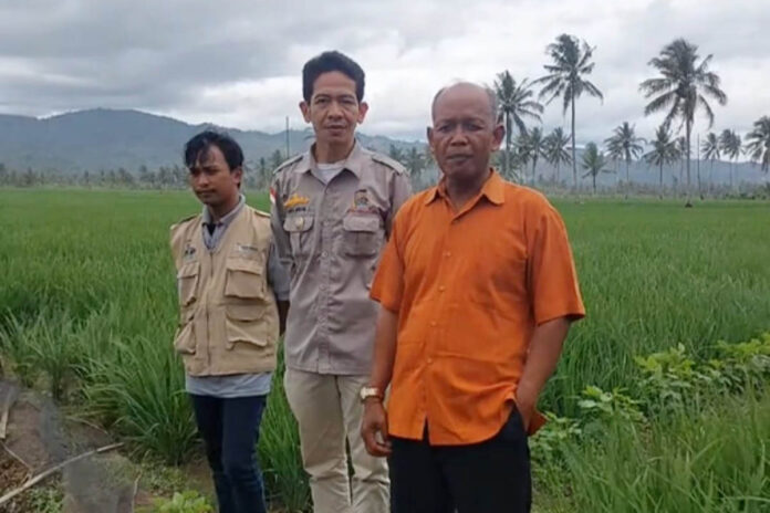 Tani Merdeka Indonesia-Lampung