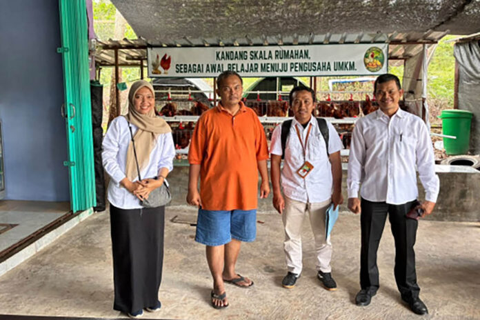 Tim Ayam Petelur