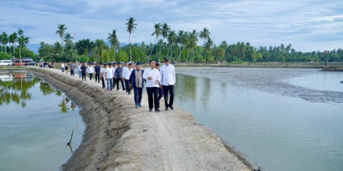 rehabilitasi tambak